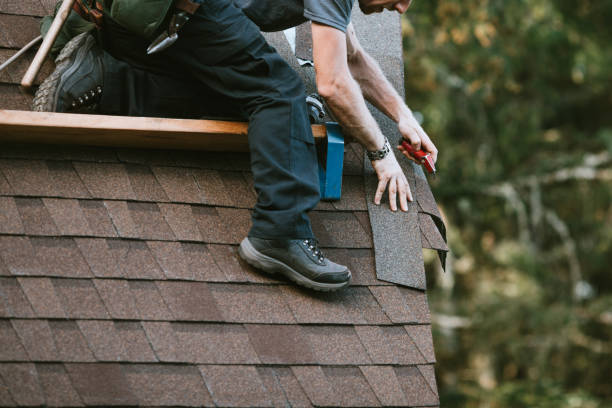 Roof Gutter Cleaning in Pender, NE